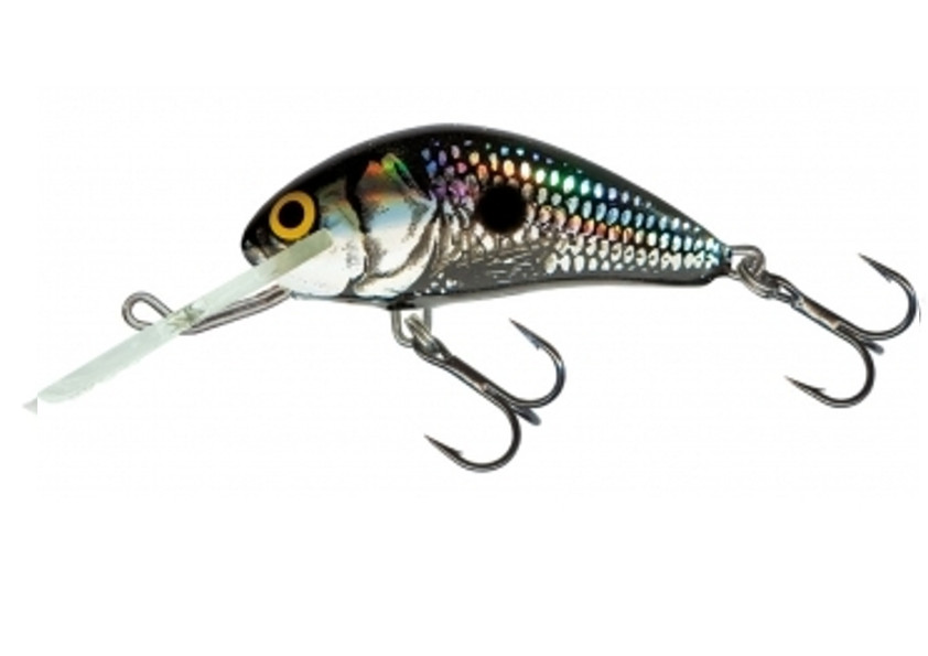 Image of Salmo Hornet H2S 2,5cm 1,5g süllyedő wobbler BBS színben (84412-558)