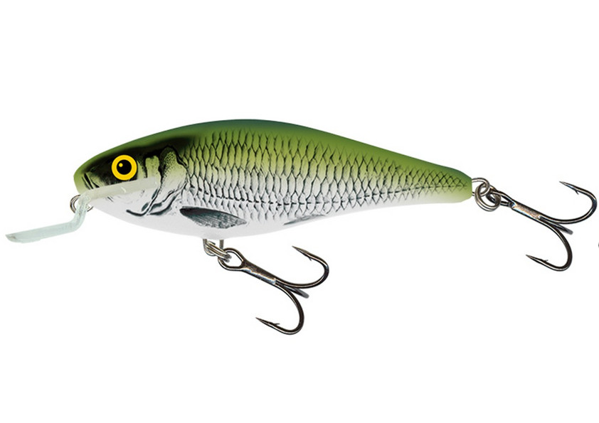Image of Salmo Executor SR 5cm 5g 0,6m wobbler IEX5SR (84595-6C4) OLB