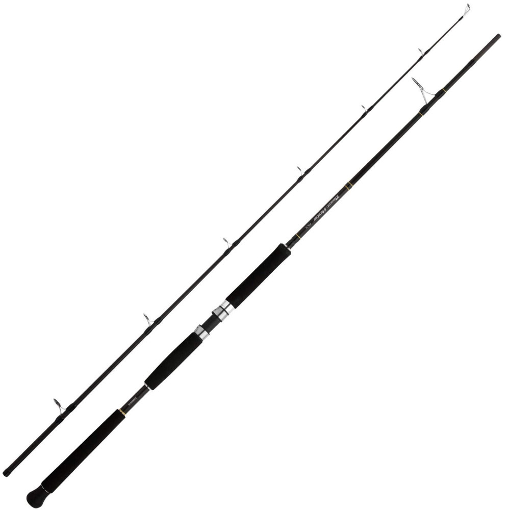 Image of Shimano Beastmaster Pilk 240 100-200g (Bmpilk240100200)