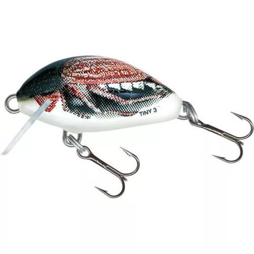Image of Salmo Tiny Floating IT3F 3cm 2g wobbler (84503-173) CC Cockchafer