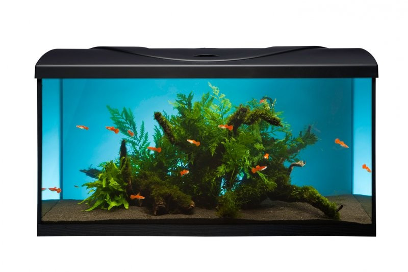 Image of Diversa 80 Led Expert 17W Egyenes 112literes felszerelt akvárium szett (119718)