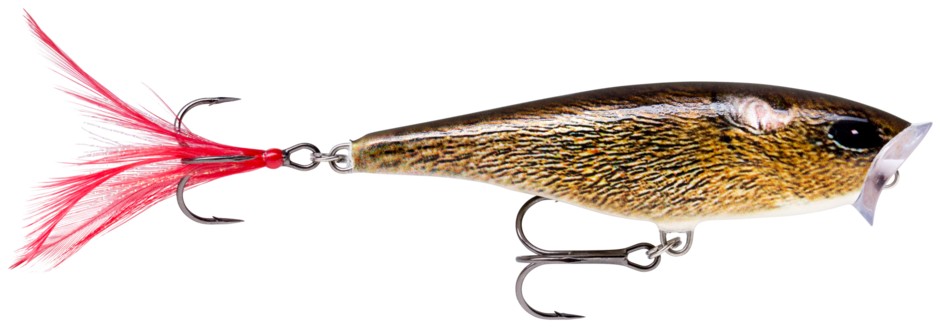 Image of Rapala SP07 Skitter Pop 7cm 7g Popper wobbler - FML (RA5810704)