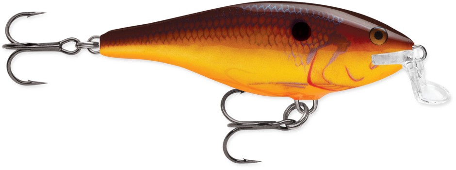 Image of Rapala SSR09 Shallow Shad Rap 9cm 12g wobbler - CW (RA5820332)