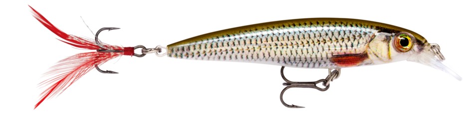 Image of Rapala XR08 X-Rap 8cm 7g wobbler - ROL (RA5821147)