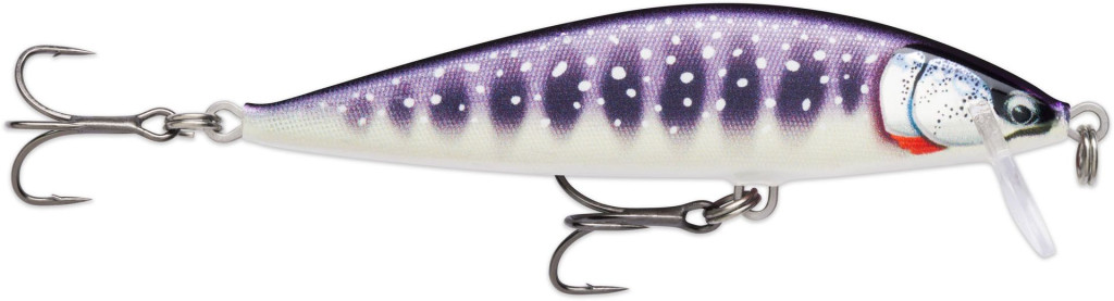 Image of Rapala CDE95 Countdown® Elite 9,5cm 14g wobbler - GDIW (RA5822296)
