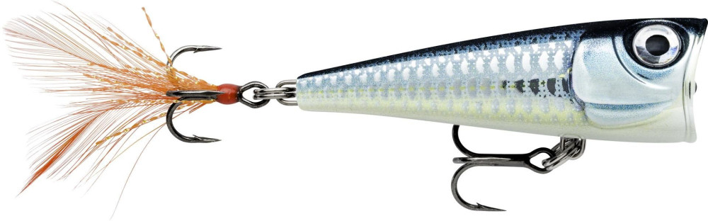 Image of Rapala FNP04 X-Light Pop 4cm 4,5g wobbler popper BAP color (RA5824098)