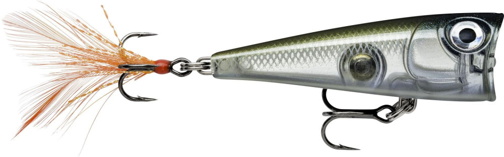 Image of Rapala FNP04 X-Light Pop 4cm 4,5g wobbler popper GHSH color (RA5824101)