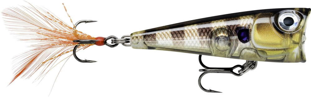 Image of Rapala FNP04 X-Light Pop 4cm 4,5g wobbler popper GGIU color (RA5824102)
