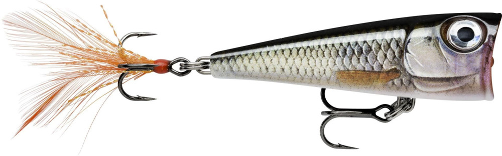 Image of Rapala FNP04 X-Light Pop 4cm 4,5g wobbler popper ROL color (RA5824106)