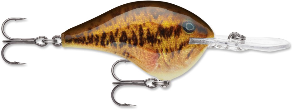 Image of Rapala DT10 Dives-To Series - Crankbaits Ikes Custom 6cm 12g wobbler - BRM