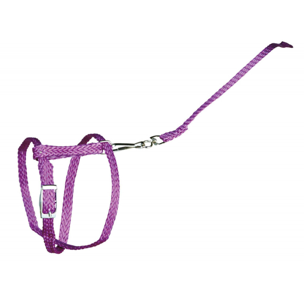 Image of Trixie Prémium nyúl, törpenyúl hám Trx6150