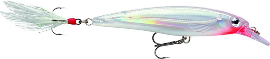 Image of Rapala XR10 X-Rap 10cm 13g wobbler - GGH színben