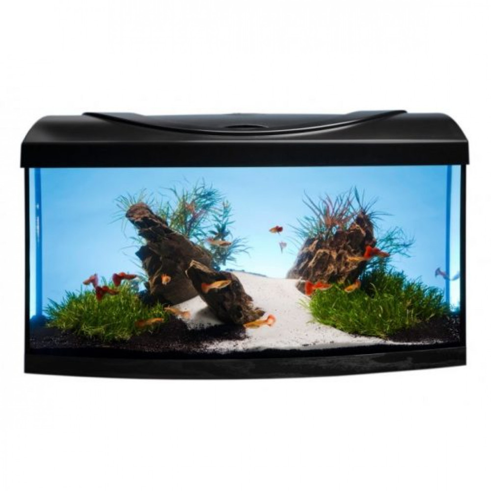 Image of Diversa 80 Led Expert 17W New Íves 102 l Felszerelt Akvárium Szett (119713)