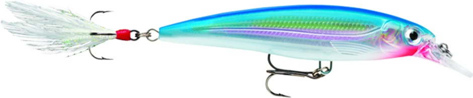 Image of Rapala XR10 X-Rap 10cm 13g wobbler - Sb Színben