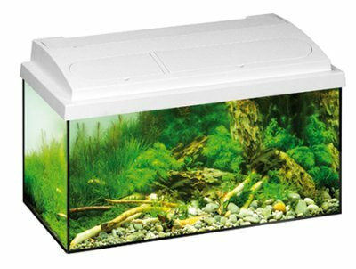 Image of Eheim Mp Aquastar 54 Liter - White - Entry Level akvárium 60cm